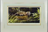 'Warning', A Limited Edition print, 287/500, of a Tiger wading through by Spencer Hodge, print, sold Jul 2018