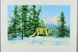 'Mountain Lion', A Limited Edition screen print, 118/350, by David Shepherd, print, sold Jul 2018