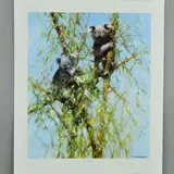 'Up A Gum Tree', A Limited Edition print, 145/950, of Koala by David Shepherd, print, sold Jul 2018