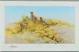 'Cheetahs of Namibia', A Limited Edition print, 583/1000, signed by David Shepherd, print, sold Jul 2018