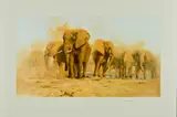 'Dusty Evening', A Limited Edition print, 144/200, of a herd by David Shepherd, print, sold Jul 2018