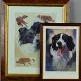 A limited edition print 145/500 of a border collie dog by John Trickett, print, sold Jul 2018