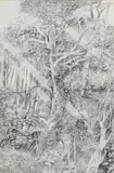 Untitled by Graham Arnold, Pencil, sold Nov 2017