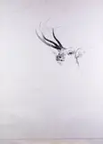 Study of a stag, squared for transfer Signed and dated 1973 Pencil on board unframed 113 x 81cm-- by Bryan Organ, 1973, Pencil on board unframed, sold Nov 2017