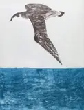 Osprey by Elisabeth Frink, print (other), sold Nov 2017