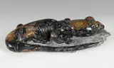 Sculpture of a Green Salamander Signed with initials by Lawrence Murley, 1998, sculpture, sold Nov 2017