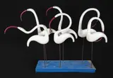 Six Ibis Signed and titled Painted wood birds on a driftwood and metal support 77 x 24cm (base)-- by Guy Taplin, sculpture, offered Nov 2017