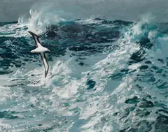 Rough seas with albatross in flight by Keith Shackleton, oil on board, sold Nov 2013