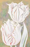 Two White Tulips by Lowell Nesbitt, 1983, acrylic on screenprint, sold Jun 2021