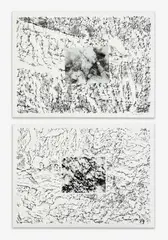 from unpublished 'Earth Movements of a Waterfall' series (2 APs) by Alan Sonfist, mixed media, silver gelatin print mounted on lithograph, sold Jun 2021