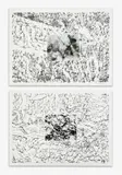 from unpublished 'Earth Movements of a Waterfall' series (2 APs) by Alan Sonfist, mixed media, silver gelatin print mounted on lithograph, sold Jun 2021