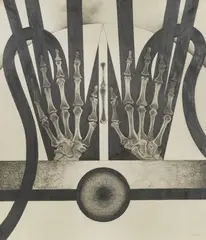 Y-Winged by Lowell Nesbitt, 1963, graphite and charcoal on paper, sold Jun 2021