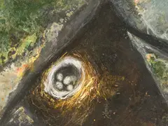 Snow Bunting Eggs by Nicholas Coleman, oil on masonite, sold Jul 2021