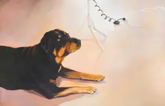 Echo II (Rottweiler) by Lowell Nesbitt, 1974, oil on canvas, sold Jul 2021