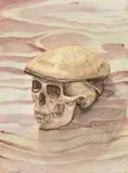 As I Come Back by Ricky Swallow, 2002, watercolour and pencil on paper, sold Nov 2011