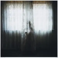 Available Light #1 by Jane Burton, 2003, type C photograph, offered Nov 2011