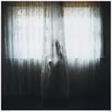 Available Light #1 by Jane Burton, 2003, type C photograph, offered Nov 2011