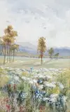 Western Australian Wildflowers by Ellis Rowan, watercolour and gouache on paper, sold Nov 2011