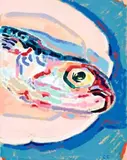 Fish On A Plate by Cressida Campbell, gouache on paper, sold Aug 2008
