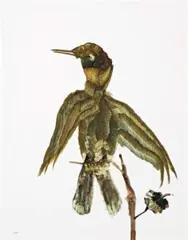 Bird by Sidney Nolan, 1982, oil on card, sold Aug 2008