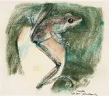Tree Frog by John Olsen, 1972, pastel on paper, sold Nov 2008