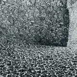Leura, New South Wales by Fiona Margaret Hall, 1974, silver gelatin photograph, sold Nov 2008