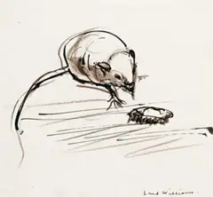 Mouse And Roach by Fred Williams, ink and conté on paper, sold Nov 2008