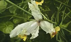Iris by Elisabeth Kruger, 2000, oil on linen, sold Apr 2009