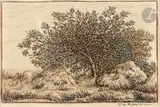 Le Cerisier de la Plante-à-Biau by Théodore Rousseau, 1862, Aquarelle, plume et encre brune, sold Mar 2024