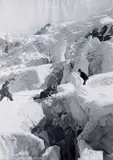 Pont de neige - Mont-Blanc»; circa 1980 by Joseph Tairraz, Photographie, sold Apr 2016