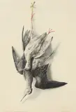 Chevalier Gambette et chevalier aboyeur by Henri de Linarès, Aquarelle titrée et signée en bas à droite, sold Apr 2022