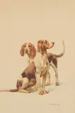 Sans titre by Charles-Fernand de Condamy, Aquarelle figurant des chiens de chasse, sold Oct 2019