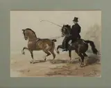 Le dressage by Pierre Olivier Dubaut, Aquarelle gouachée signée en bas à droite, sold Jun 2018