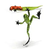 Claim Jumper by Tim Cotterill, Enameled cast bronze, sold Jul 2024