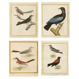 Four Ornithological Engravings from Histoire Naturelle des Oiseaux by François-Nicolas Martinet, Hand-colored engravings on laid paper, sold Jul 2024