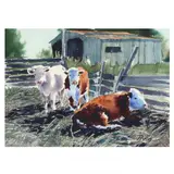 Cows Resting by Mike Ryon, Watercolor on paper, sold Jun 2024