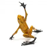 High Dive by Tim Cotterill, Patinated cast bronze, sold Jun 2024