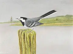 Bachstelze auf Pfahl", 1951 by Adolf Dietrich, oil on board, sold Mar 2019