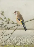 Distelfink", 1956 by Adolf Dietrich, oil on board, sold Mar 2019