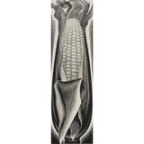 Corn by Paul Landacre, woodcut, sold Jun 2023