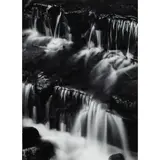 Fern Springs by Ansel Adams, 1961, gelatin silver print, sold Jun 2023