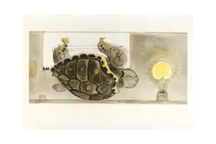 Untitled by Graham Sutherland, pencil, offered Feb 2023