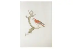 Untitled by Elisabeth Frink Ch, print (other), offered Feb 2023