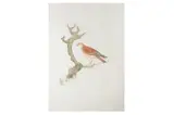 Untitled by Elisabeth Frink Ch, print (other), offered Feb 2023