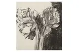Untitled by Jim Dine, pencil, offered Feb 2023