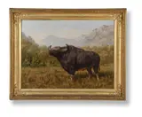 The big bull bison by Joseph Wolf, Oil on canvas, offered Jun 2021