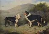 A collie and a bulldog by Edward Lloyd, oil, sold May 2021