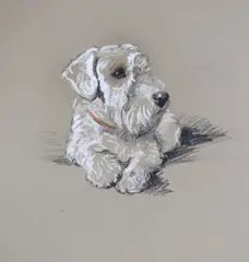 Posing' portrait of a white terrier, unsigned, title inscribed verso, 34 x 26cm by Lucy Dawson, pastel, sold May 2022