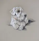 Posing' portrait of a white terrier, unsigned, title inscribed verso, 34 x 26cm by Lucy Dawson, pastel, sold May 2022