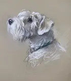 Bustic by Lucy Dawson, pastel, sold May 2022